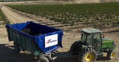 El desconocido negocio de Cemex El desconocido negocio de Cemex
